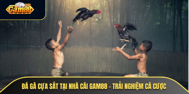 Đá Gà Cựa Sắt